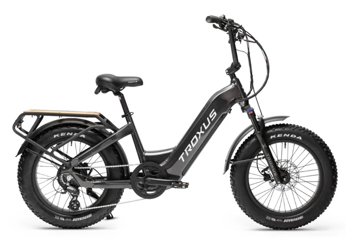 Troxus Lynx Plus Class 2 E-Bike – Bikes Not Bombs