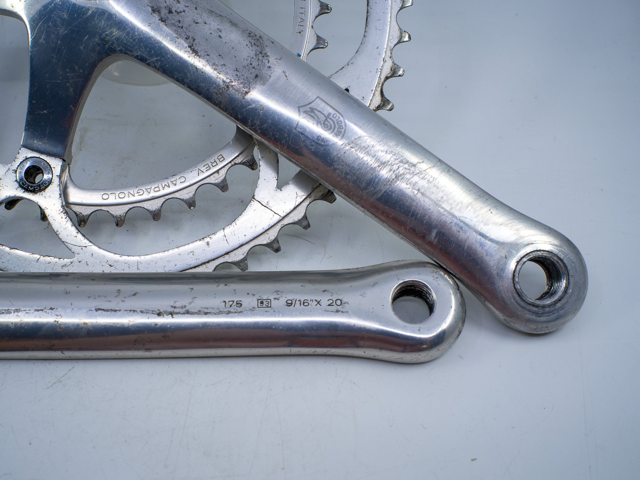 Plateau Campagnolo C-Record 53 Dents BCD 135 – Vintage NOS – Neuf