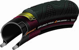 Continental Grand Prix 4-Season Tire - 700 x 25, Clincher, Folding, Black, Vectran Breaker, DuraSkin