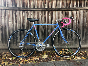 52cm/ 20"/ Trek 420/ Blue Pink/Road