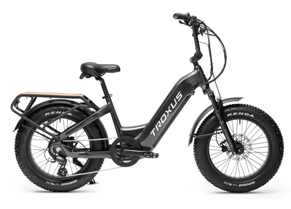 Troxus Lynx Plus Class 2 E-Bike – Bikes Not Bombs