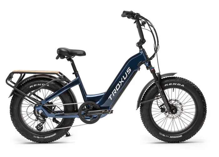 Troxus Lynx Plus Class 2 E-Bike – Bikes Not Bombs