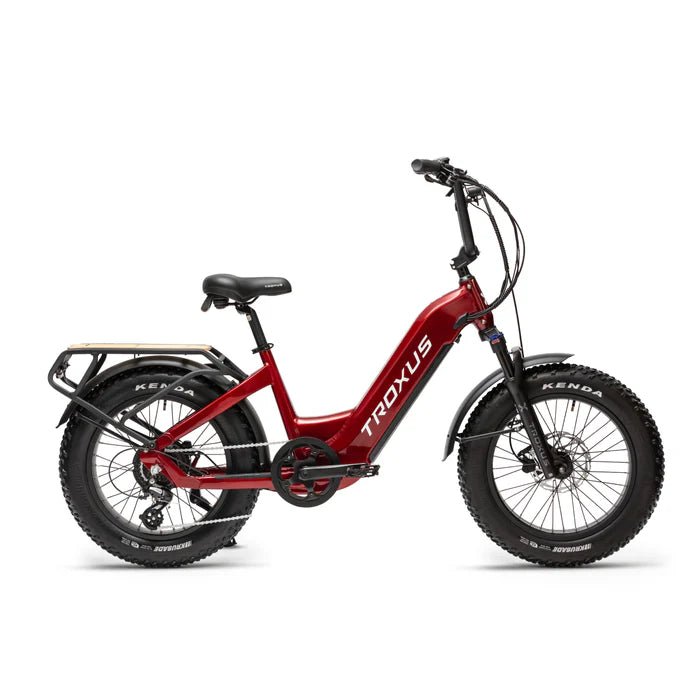 Troxus Lynx Plus Class 2 E-Bike – Bikes Not Bombs